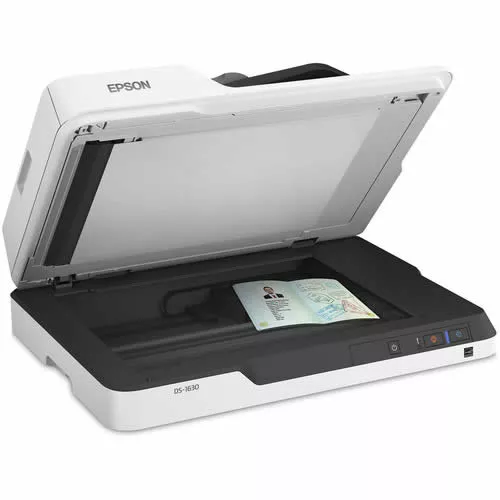 Escáner Epson DS-1630, Scanner Cama Plana A4 con Alimentador Automático 50 Hojas   DS-1630